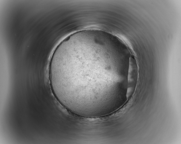 X0000096950816200802221321