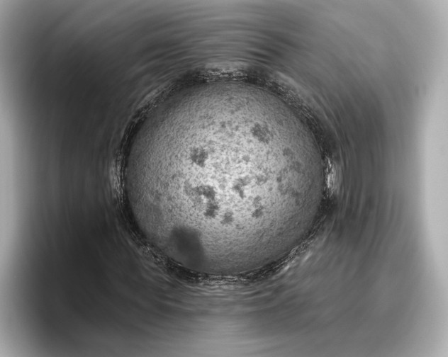 X0000096950819200802221320