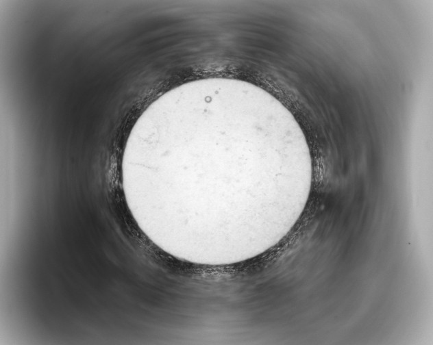 X0000096950820200802221320