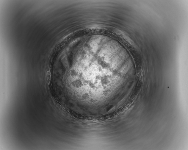 X0000096950821200802221320