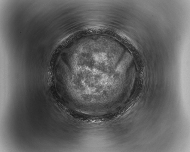 X0000096950822200802221320