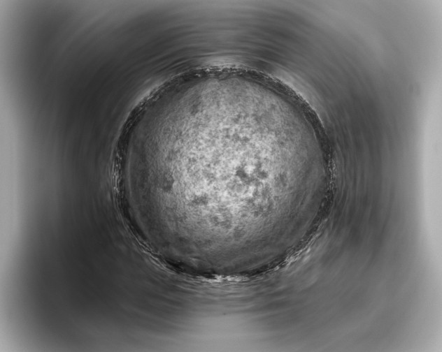 X0000096950823200802221320