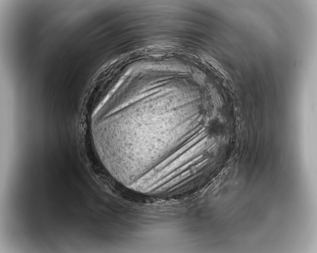 X0000096950824200802221320
