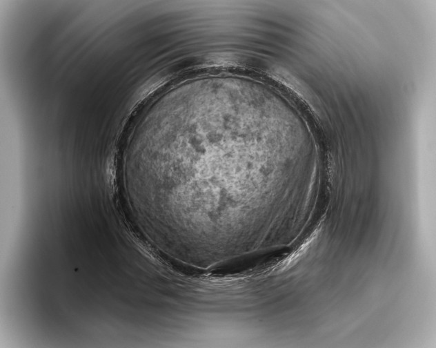 X0000096950826200802221320