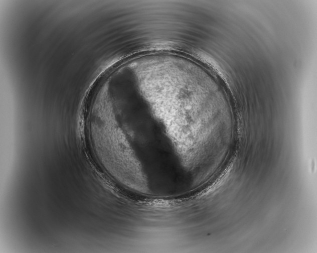 X0000096950827200802221320