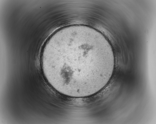 X0000096950828200802221320