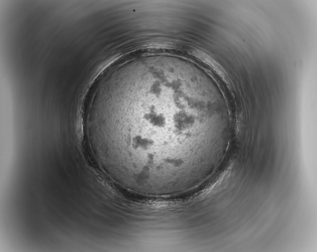 X0000096950829200802221320