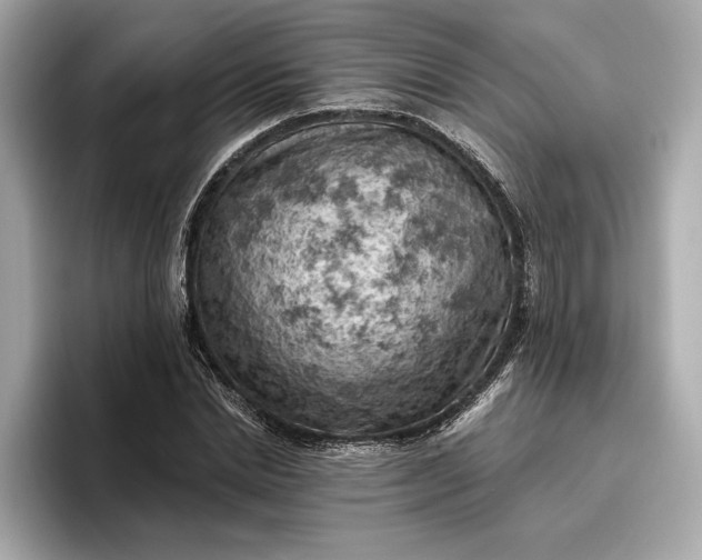X0000096950830200802221320