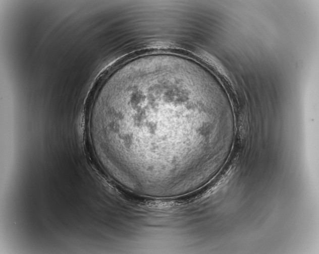 X0000096950831200802221320