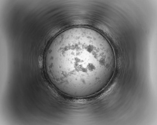 X0000096950833200802221320