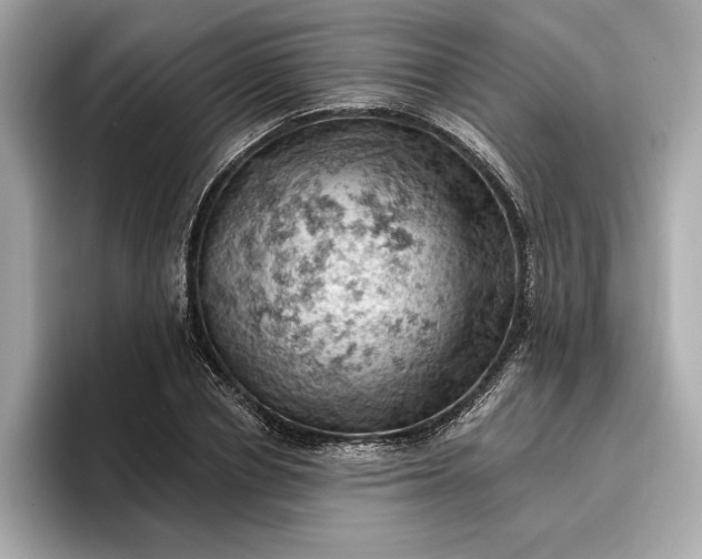 X0000096950834200802221320