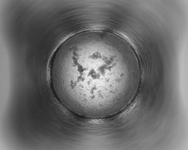 X0000096950835200802221320