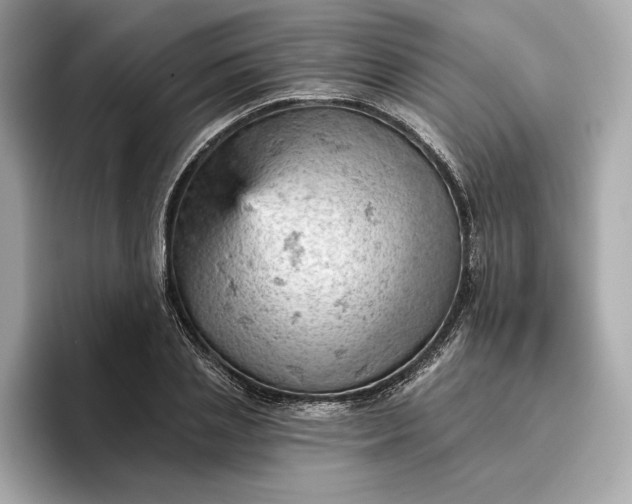 X0000096950837200802221320