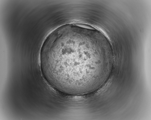 X0000096950839200802221320