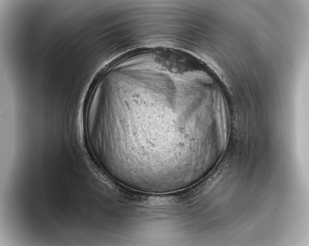 X0000096950840200802221320