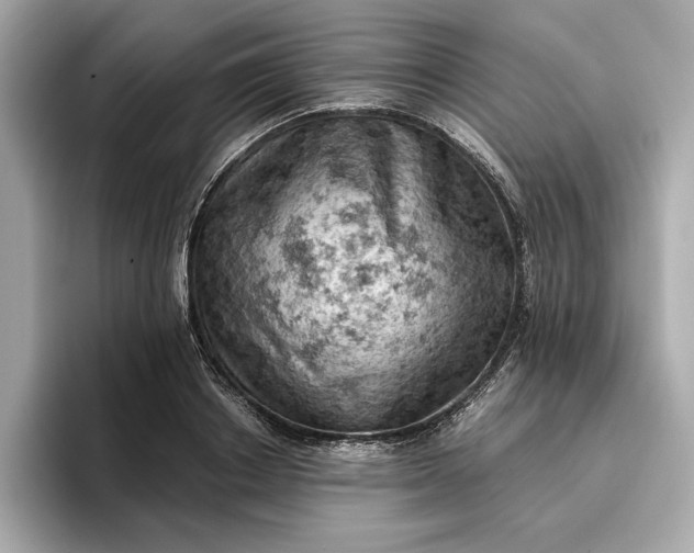 X0000096950842200802221320
