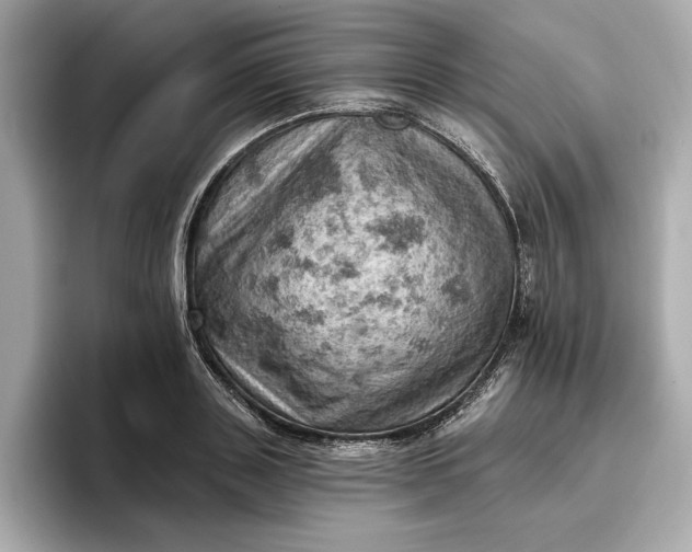 X0000096950843200802221320