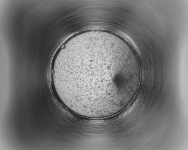 X0000096950844200802221320