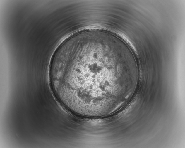 X0000096950845200802221320