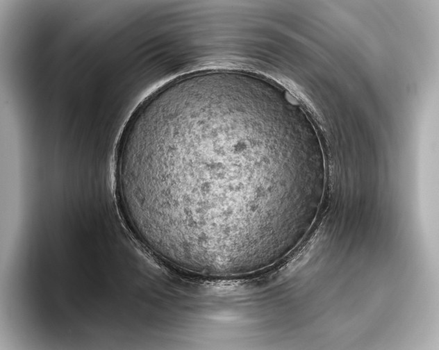 X0000096950846200802221320