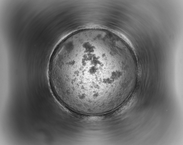 X0000096950847200802221320