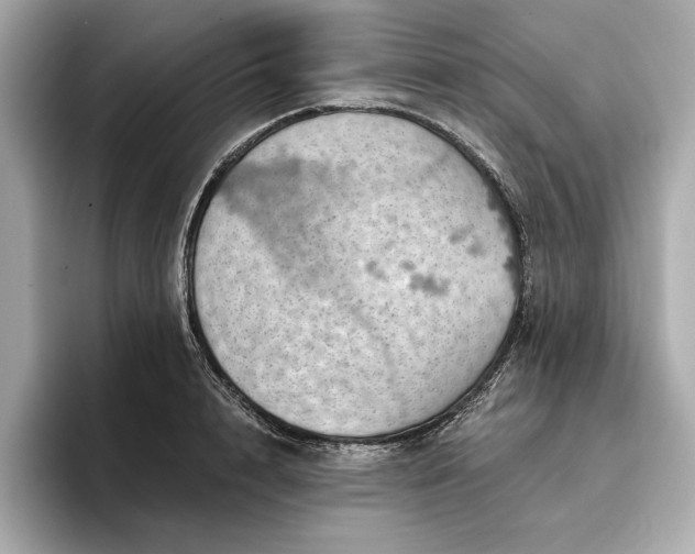 X0000096950848200802221320