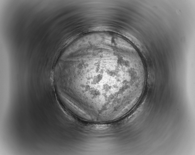 X0000096950849200802221320