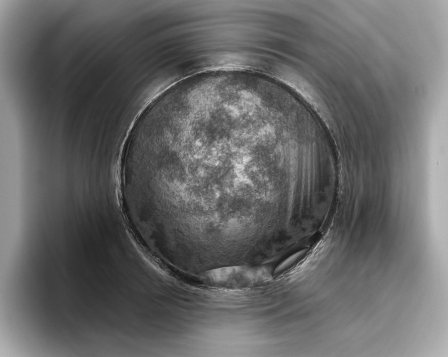 X0000096950850200802221320