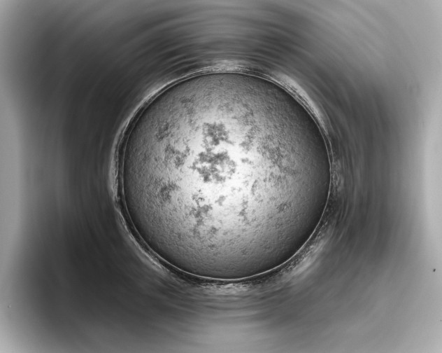 X0000096950851200802221321