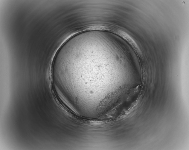 X0000096950852200802221321