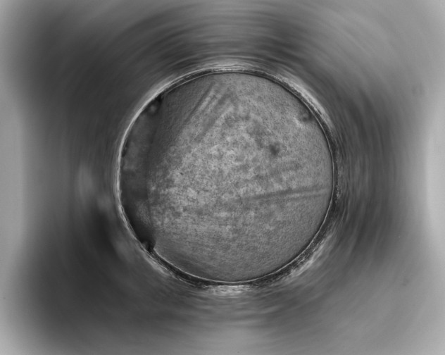X0000096950853200802221321