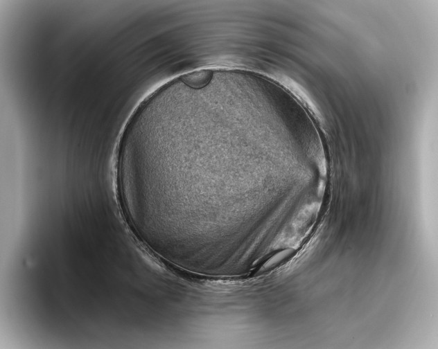 X0000096950854200802221321
