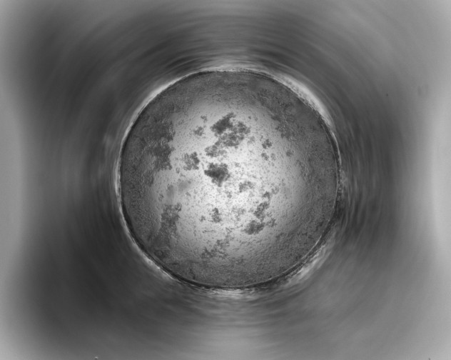 X0000096950855200802221321