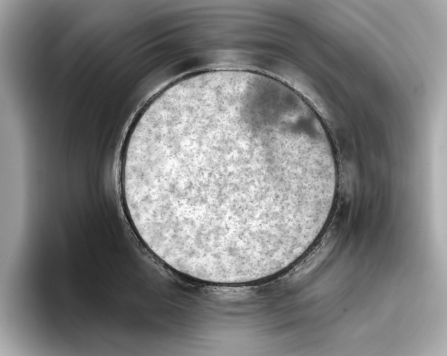 X0000096950856200802221321