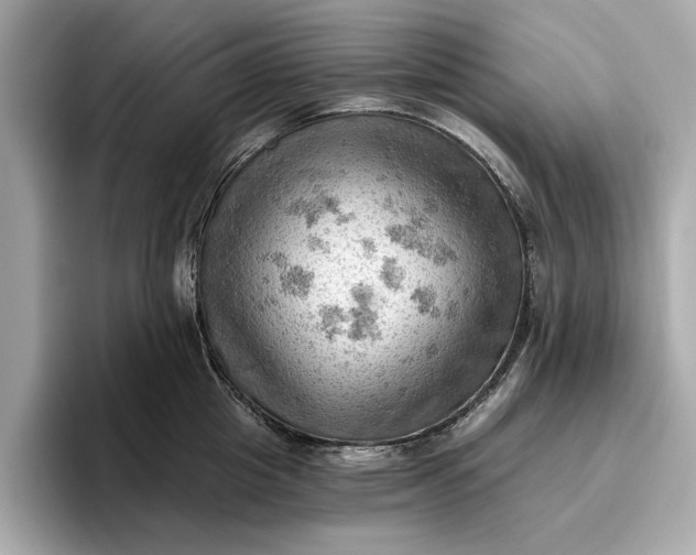 X0000096950857200802221321