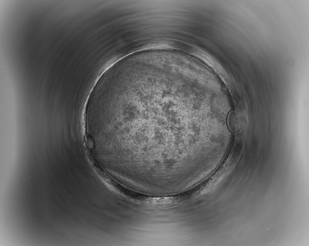 X0000096950858200802221321