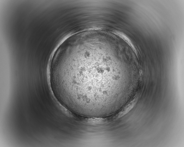X0000096950859200802221321