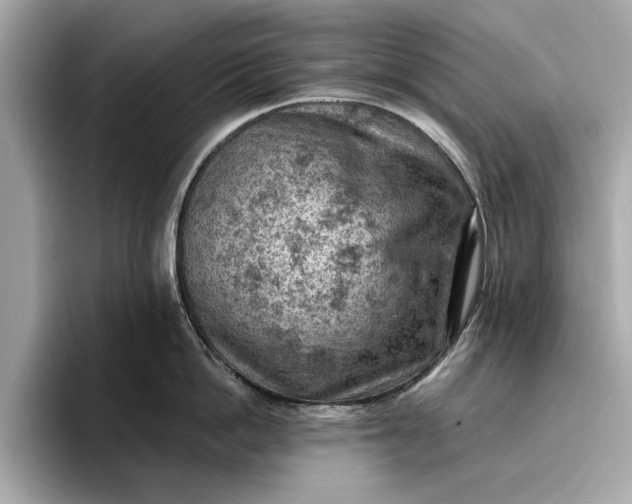 X0000096950862200802221321