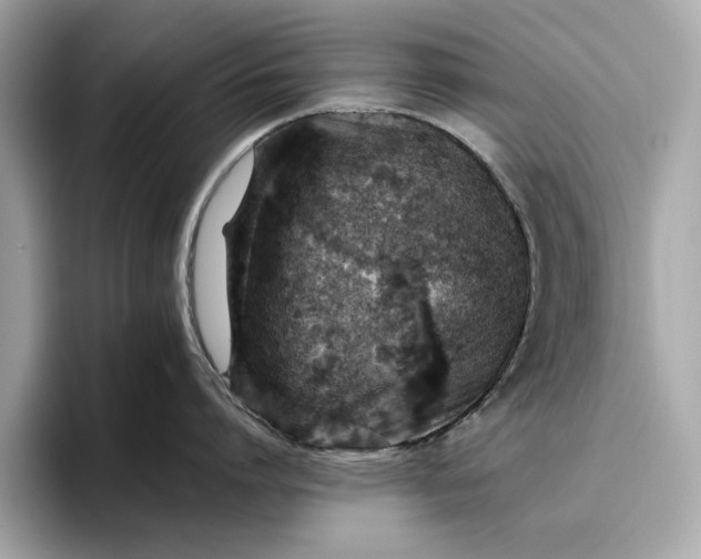 X0000096950864200802221321