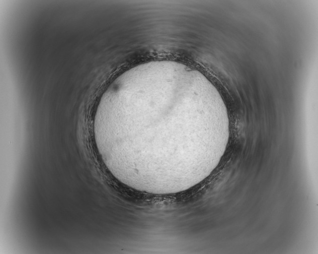 X0000096950865200802221320