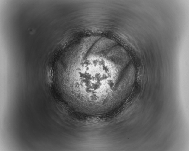 X0000096950866200802221320