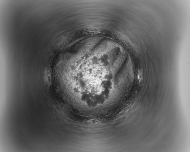 X0000096950867200802221320