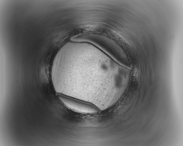 X0000096950868200802221320