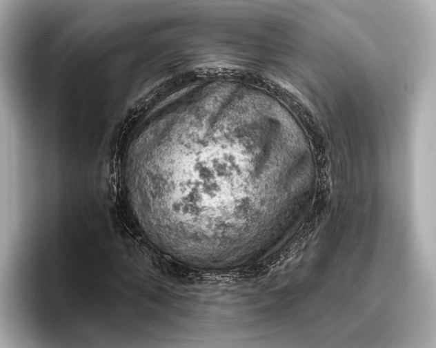 X0000096950870200802221320