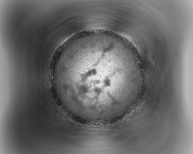 X0000096950871200802221320