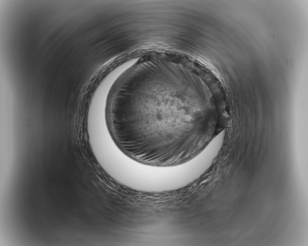 X0000096950872200802221320