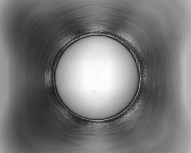 X0000096950873200802221320