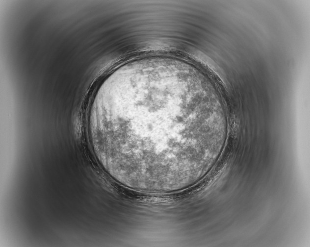 X0000096950874200802221320