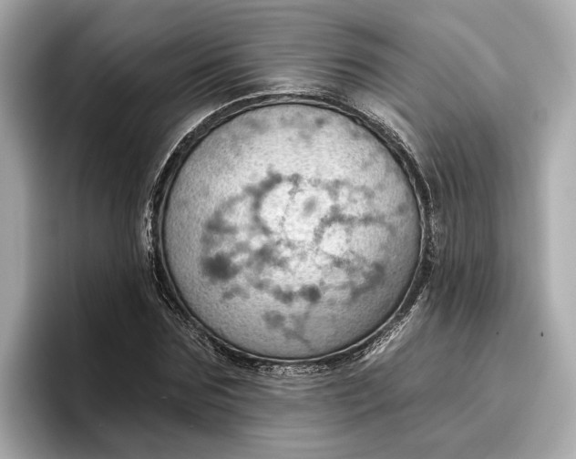 X0000096950875200802221320