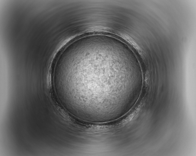 X0000096950877200802221320